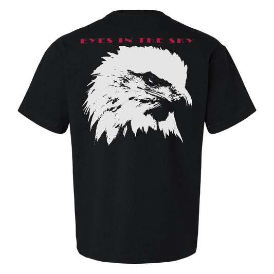 Eyes in the Sky Heavyweight Shirt